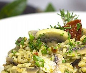Kinderportie :Risotto 'boscaiola' met spekjes, champignons, oesterzwammen, boschampignons en witlof met gemberkonfijt (vegan)